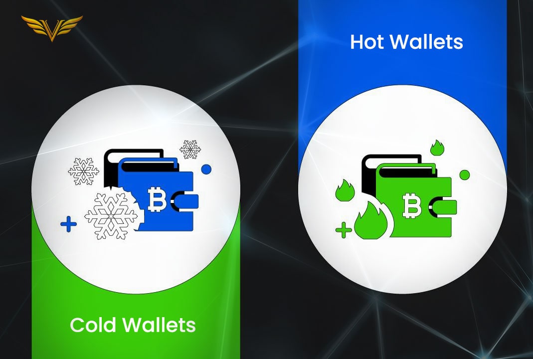 Comparison of cold and hot wallets